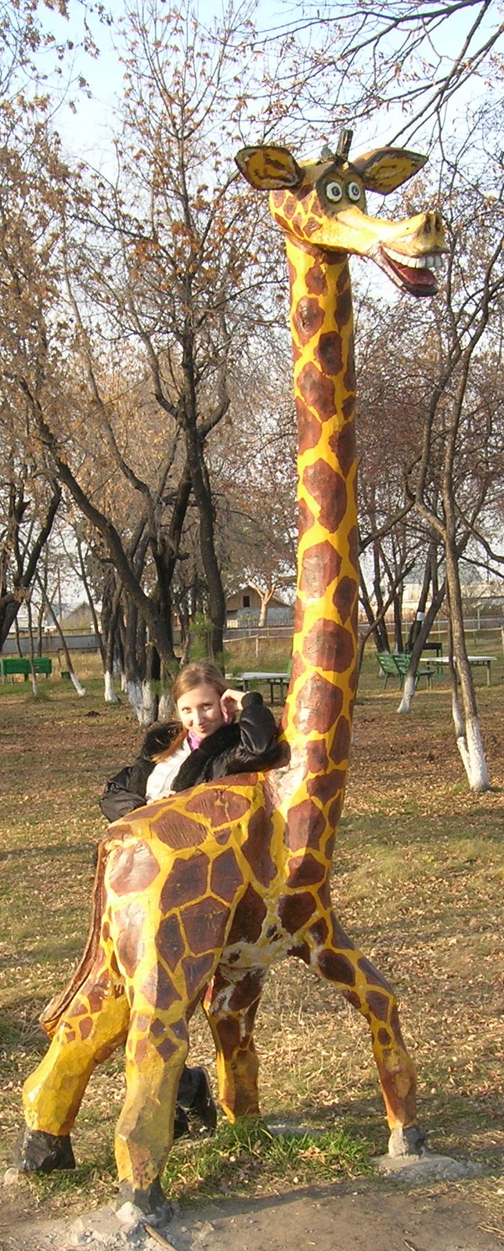 Наш жирафик